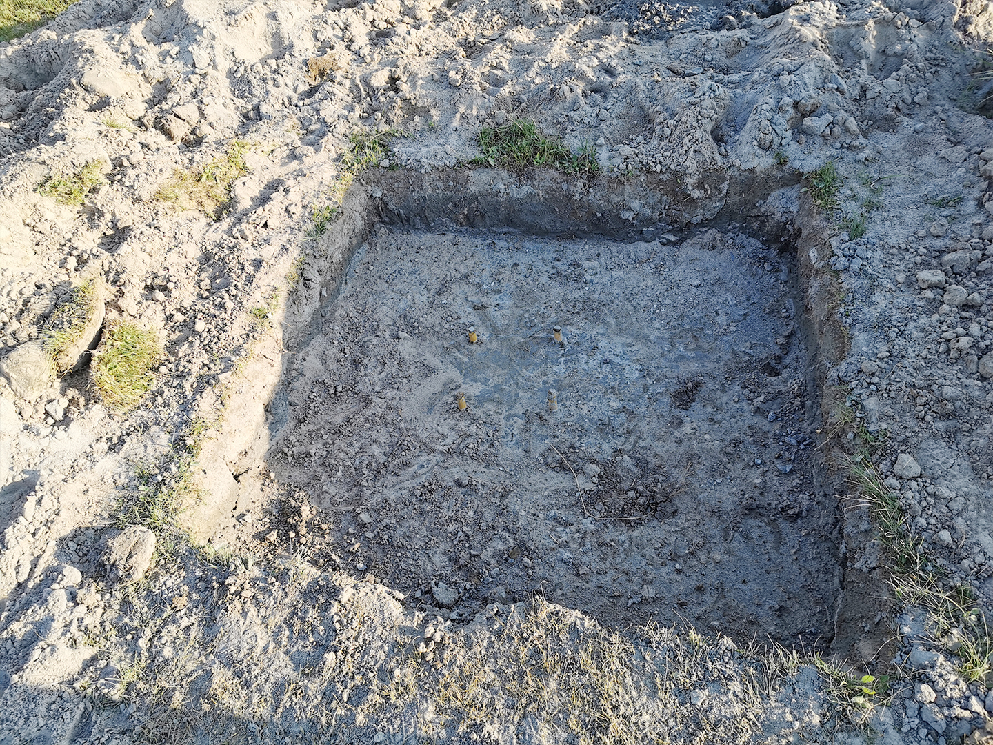 日出水了特别黄的视频