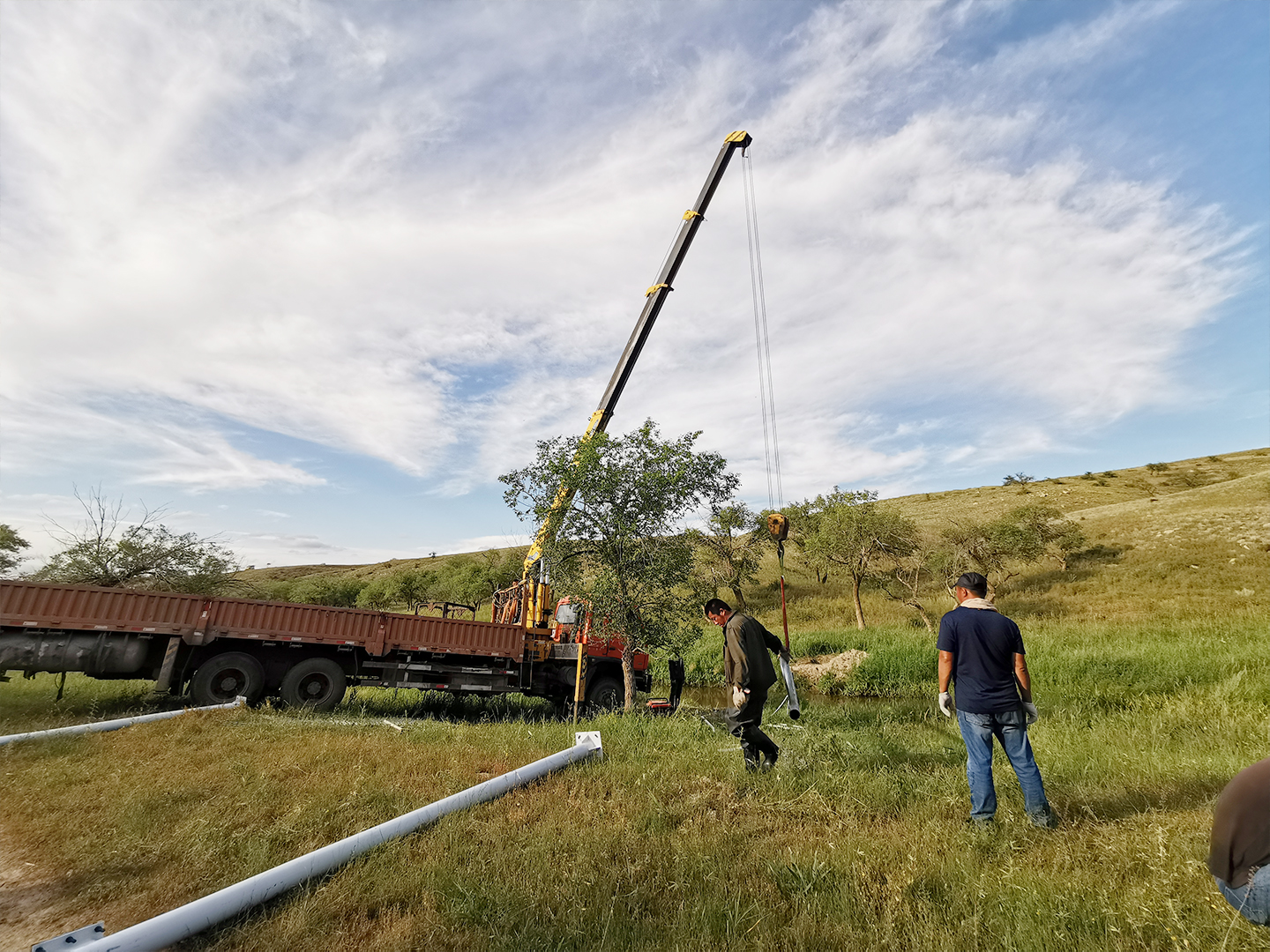 日出水了特别黄的视频