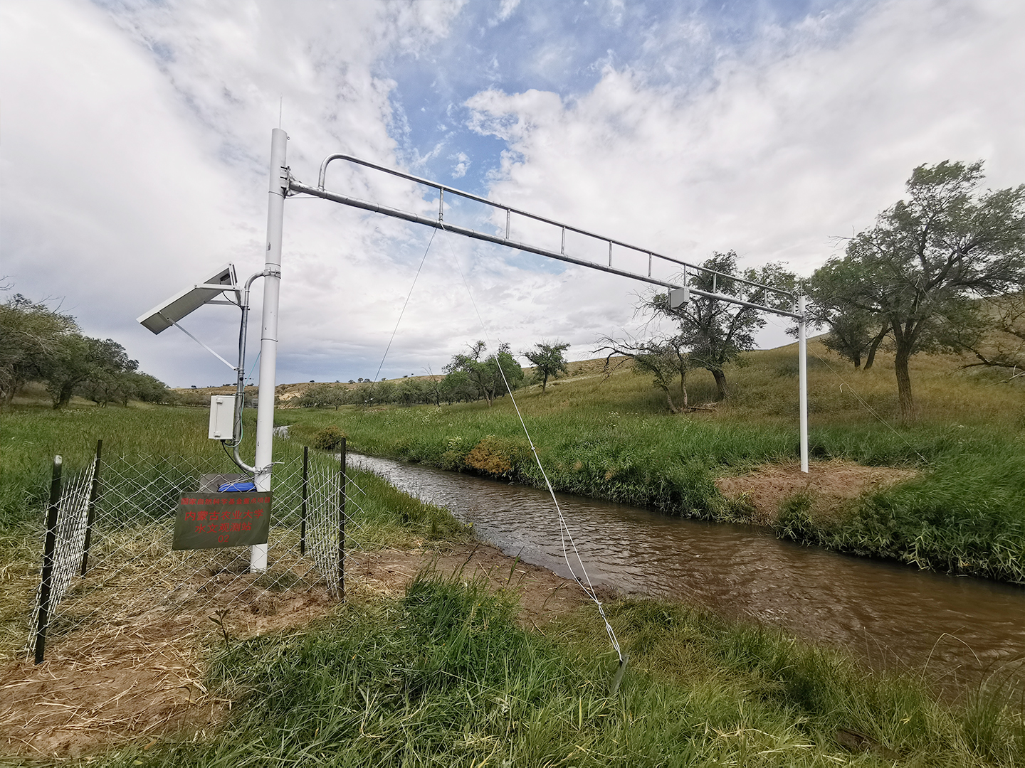日出水了特别黄的视频