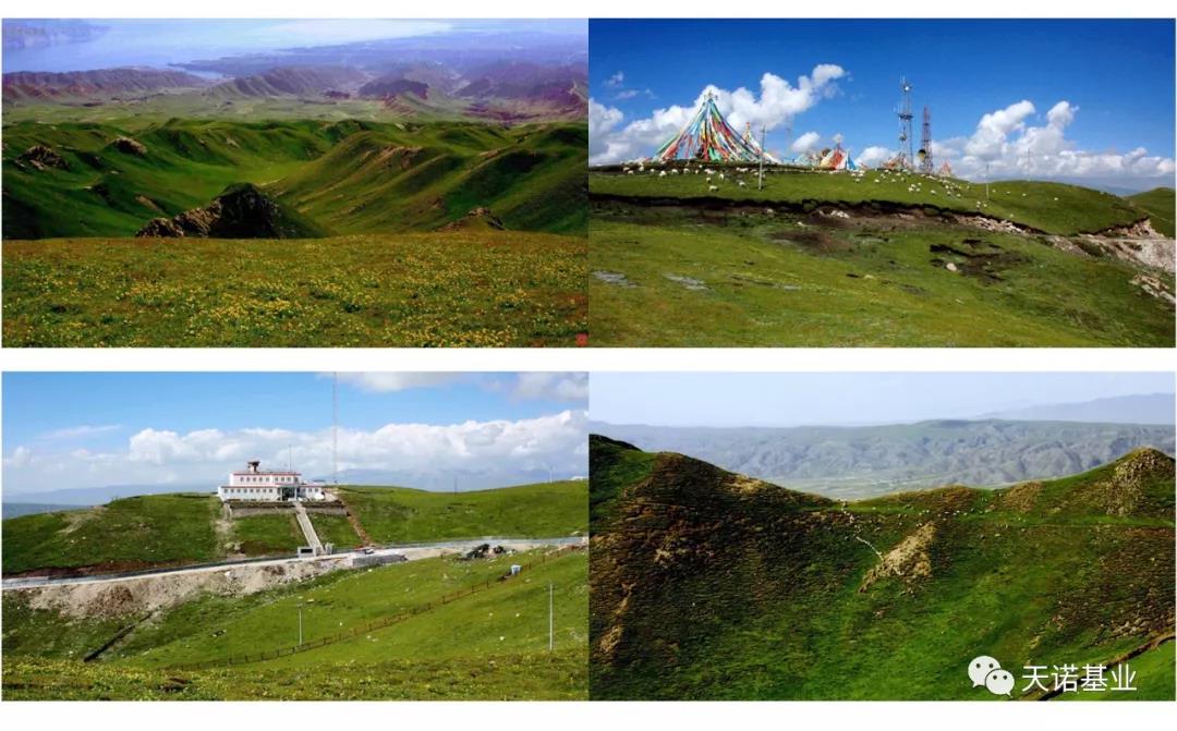 日出水了特别黄的视频