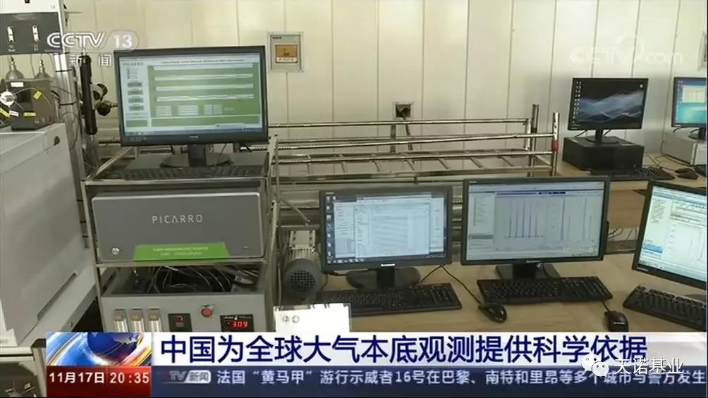 日出水了特别黄的视频