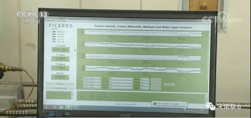 日出水了特别黄的视频