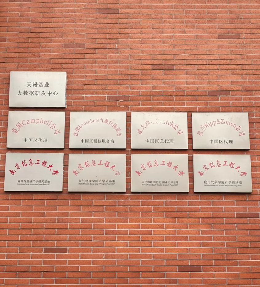 日出水了特别黄的视频