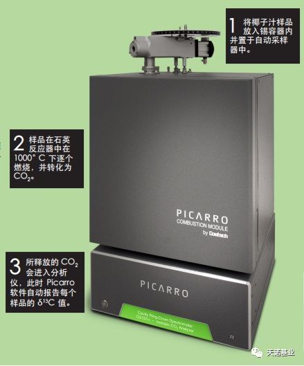 日出水了特别黄的视频