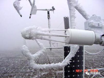 日出水了特别黄的视频