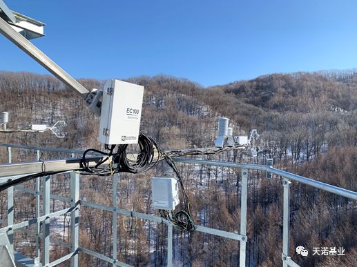 日出水了特别黄的视频