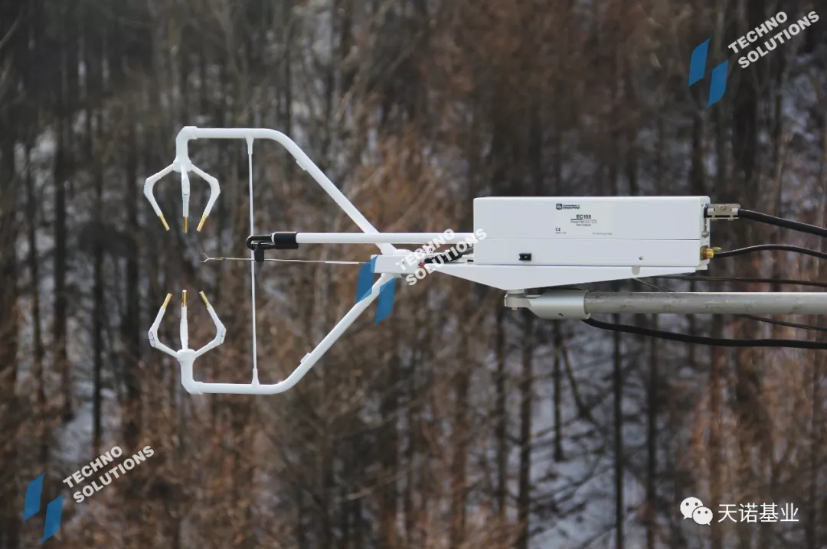 日出水了特别黄的视频