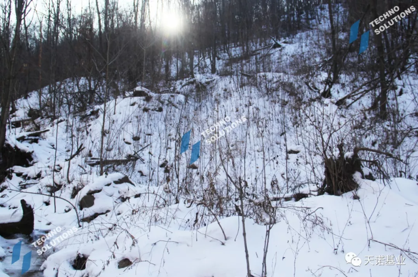 日出水了特别黄的视频