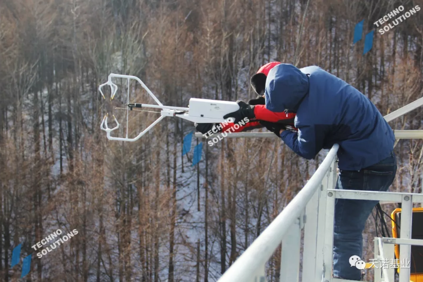 日出水了特别黄的视频