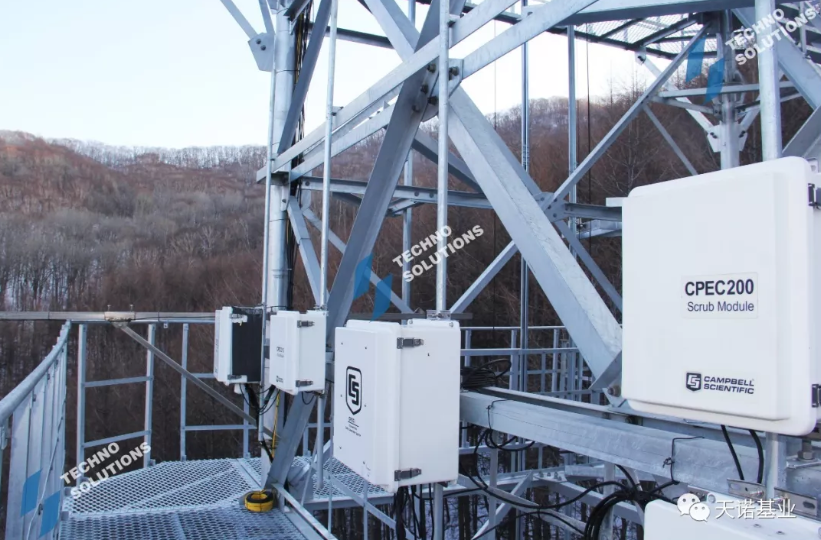 日出水了特别黄的视频