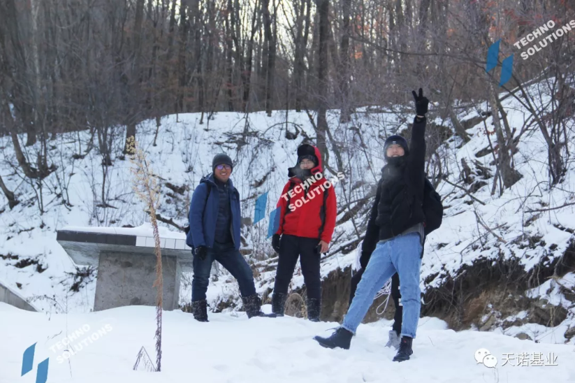 日出水了特别黄的视频