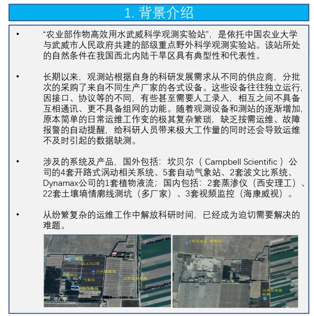 日出水了特别黄的视频