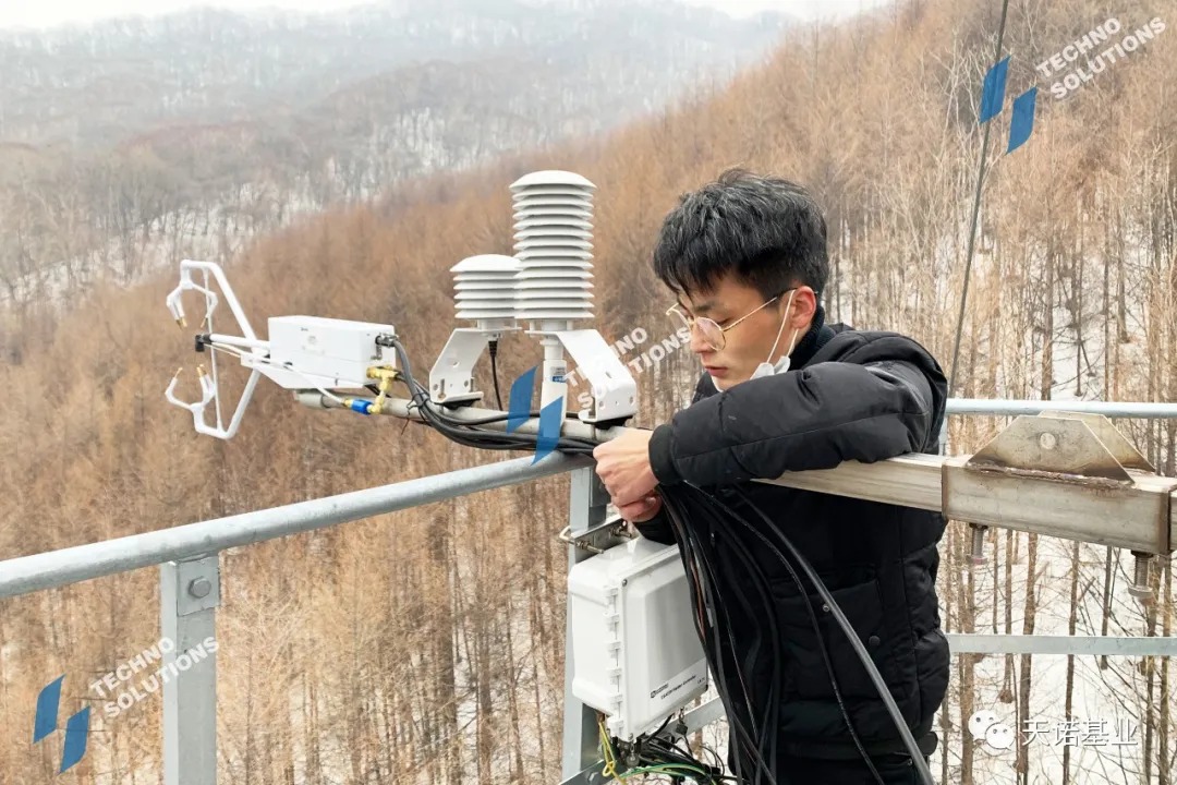 日出水了特别黄的视频