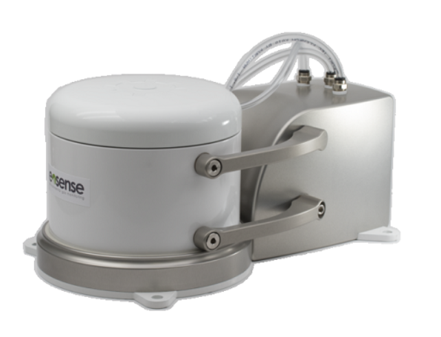 日出水了特别黄的视频