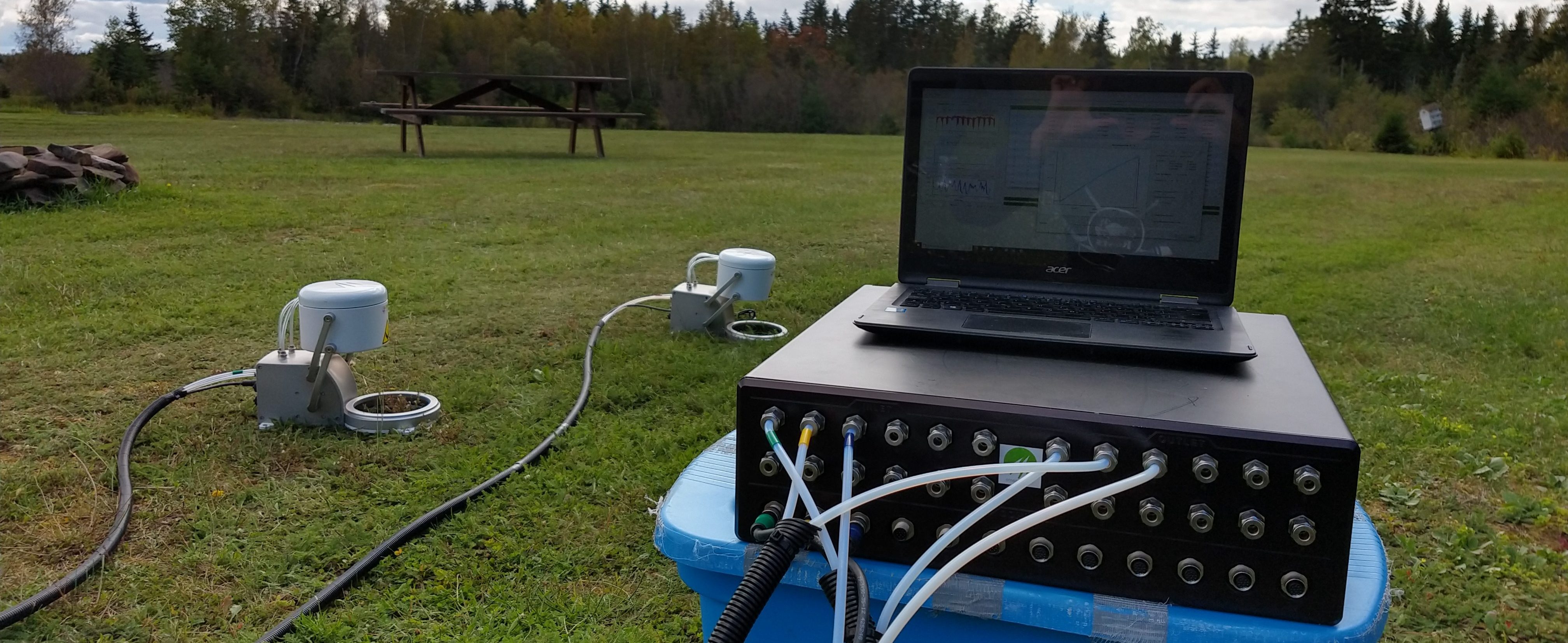 日出水了特别黄的视频