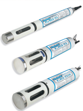 日出水了特别黄的视频