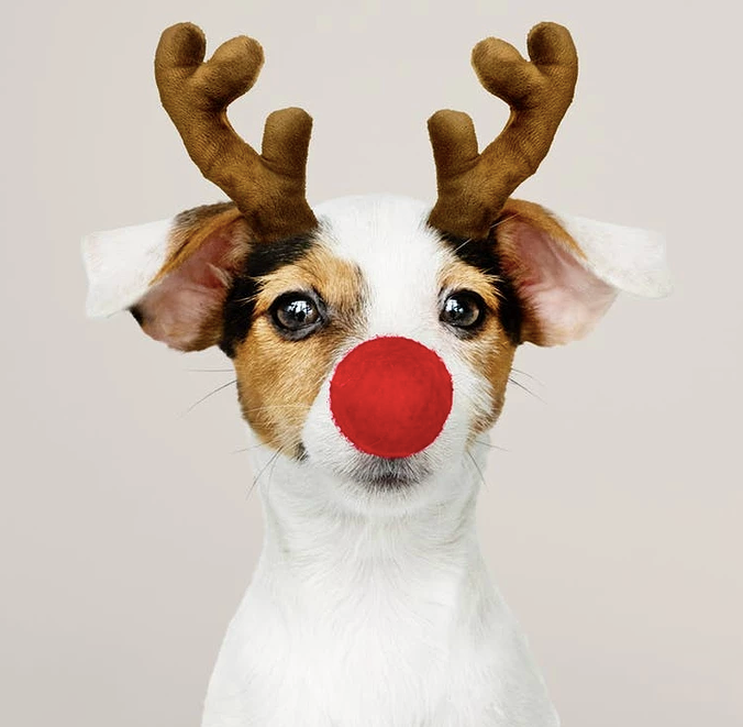 日出水了特别黄的视频