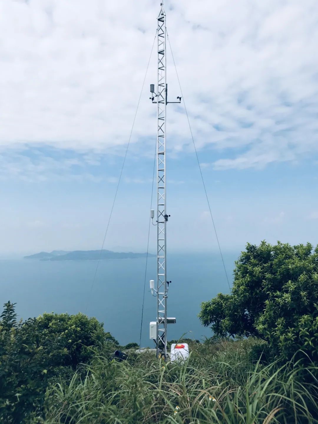 日出水了特别黄的视频