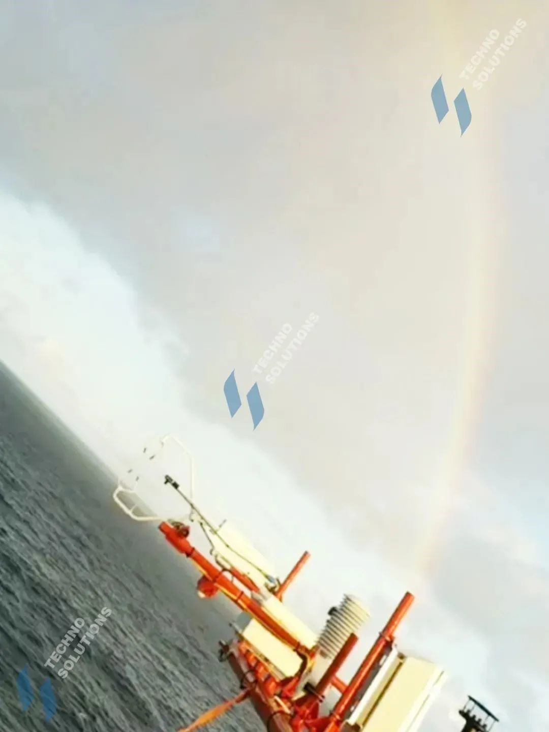 日出水了特别黄的视频