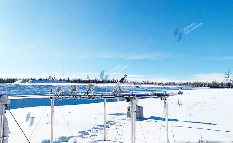 日出水了特别黄的视频