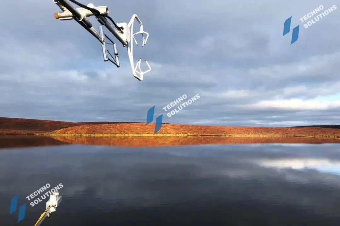 日出水了特别黄的视频