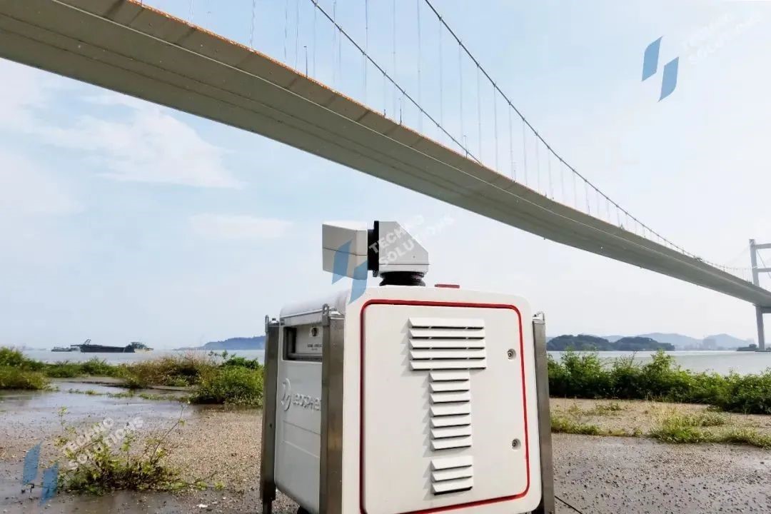 日出水了特别黄的视频