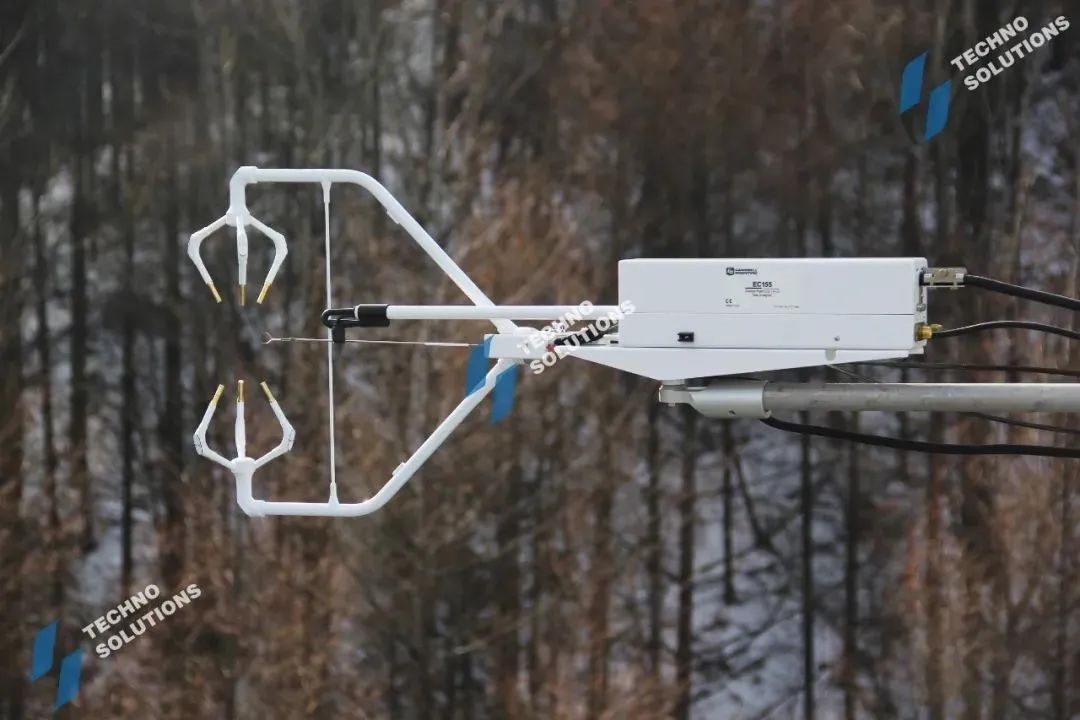 日出水了特别黄的视频