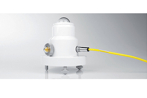 日出水了特别黄的视频