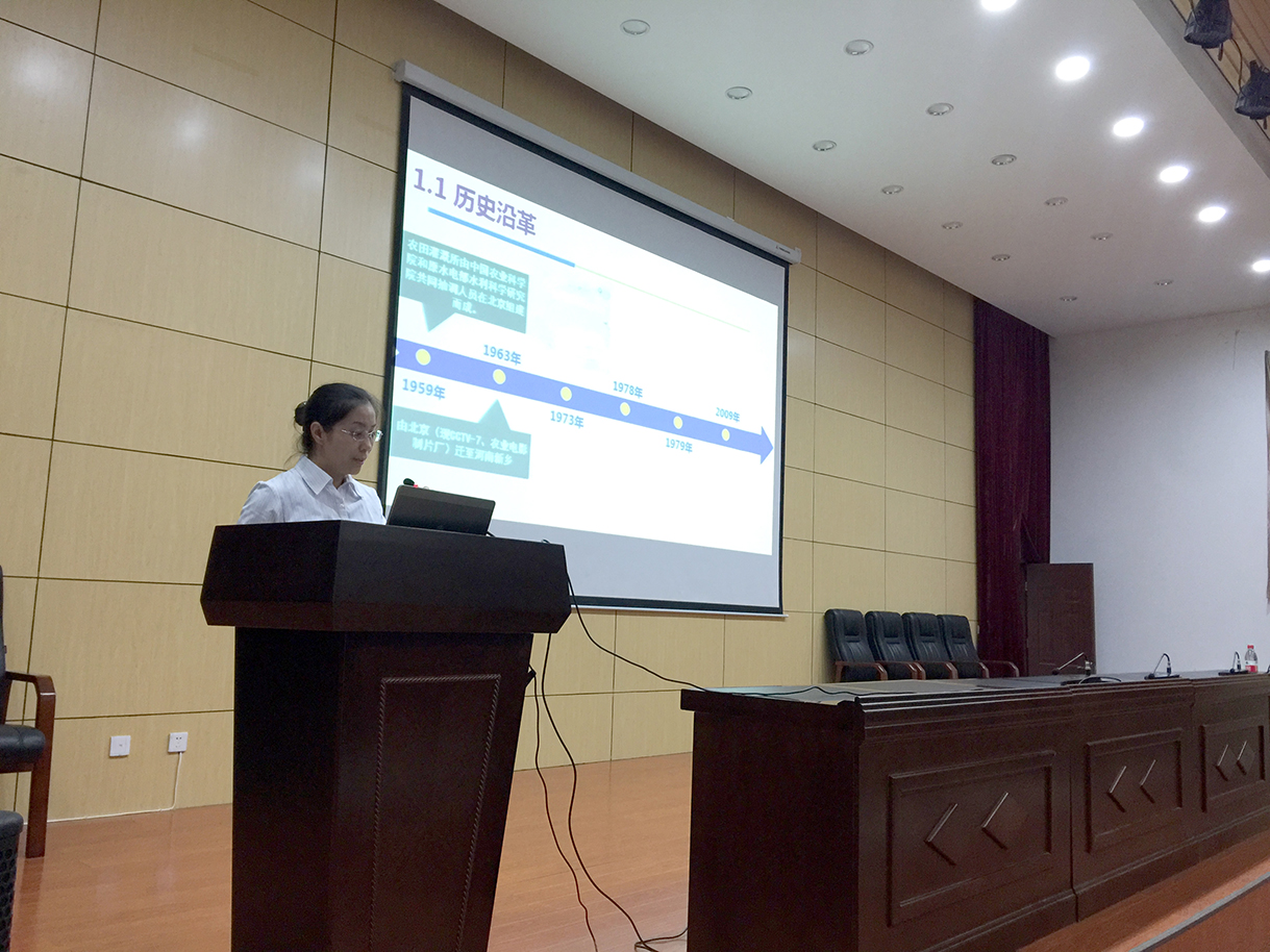 日出水了特别黄的视频