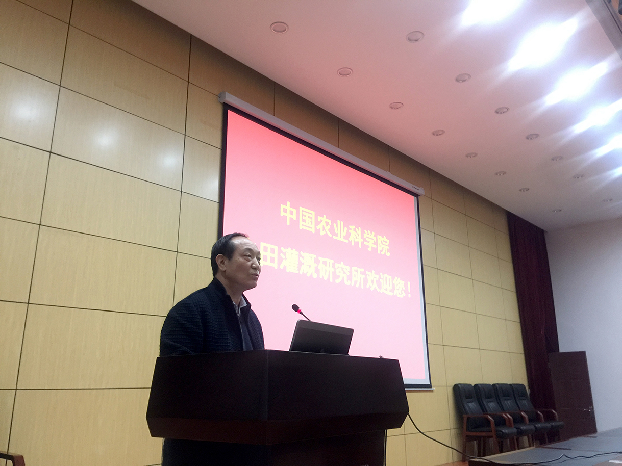 日出水了特别黄的视频