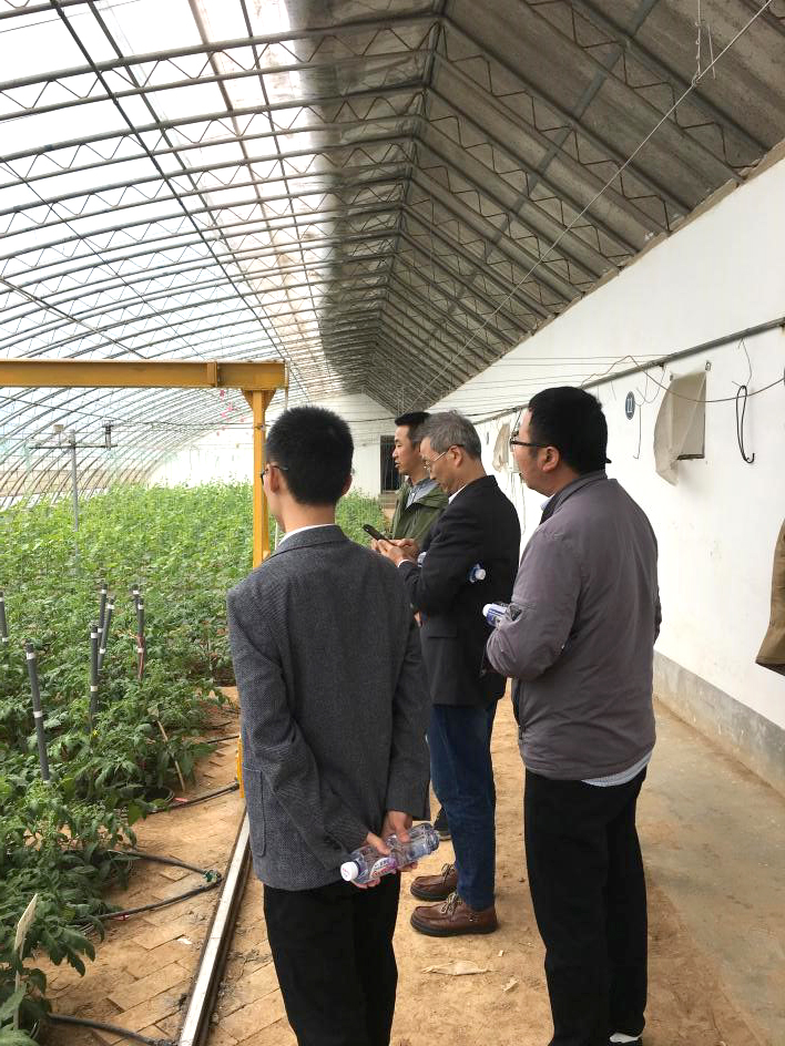 日出水了特别黄的视频