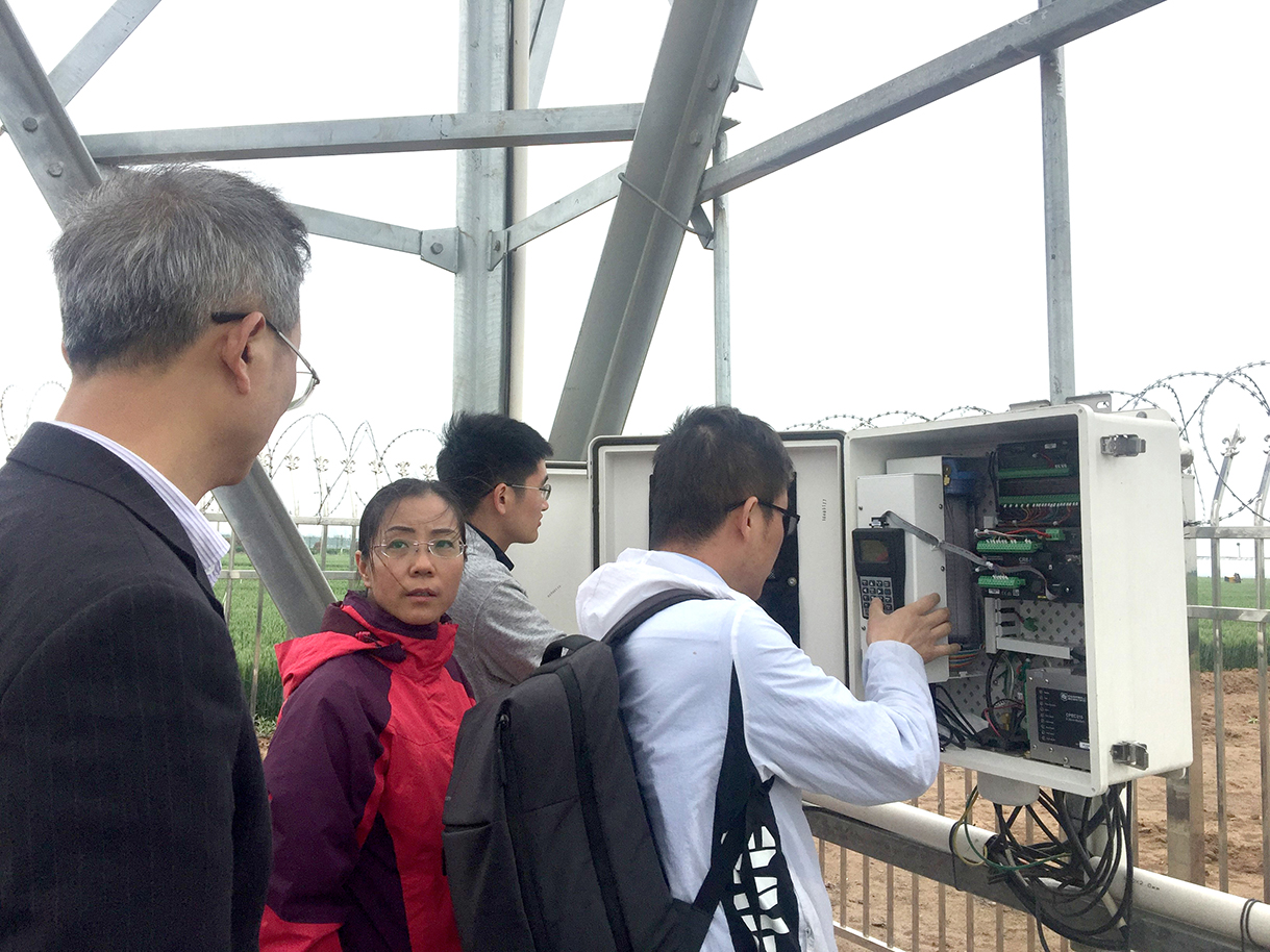 日出水了特别黄的视频