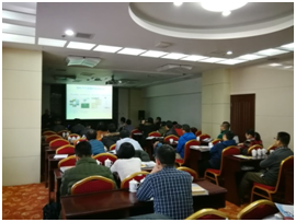 日出水了特别黄的视频