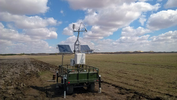 日出水了特别黄的视频