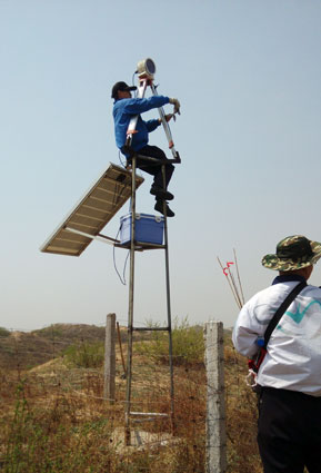 日出水了特别黄的视频