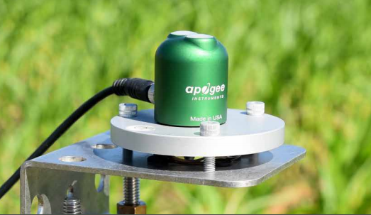 NDVI提供了一种测量冠层叶绿素含量和叶面积的方法,通常用于监测作物春季的变绿和秋季的衰老。