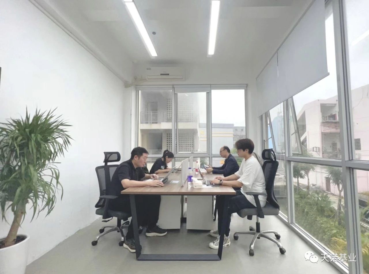 日出水了特别黄的视频