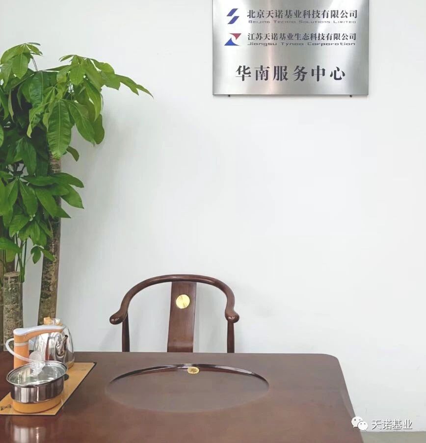 日出水了特别黄的视频