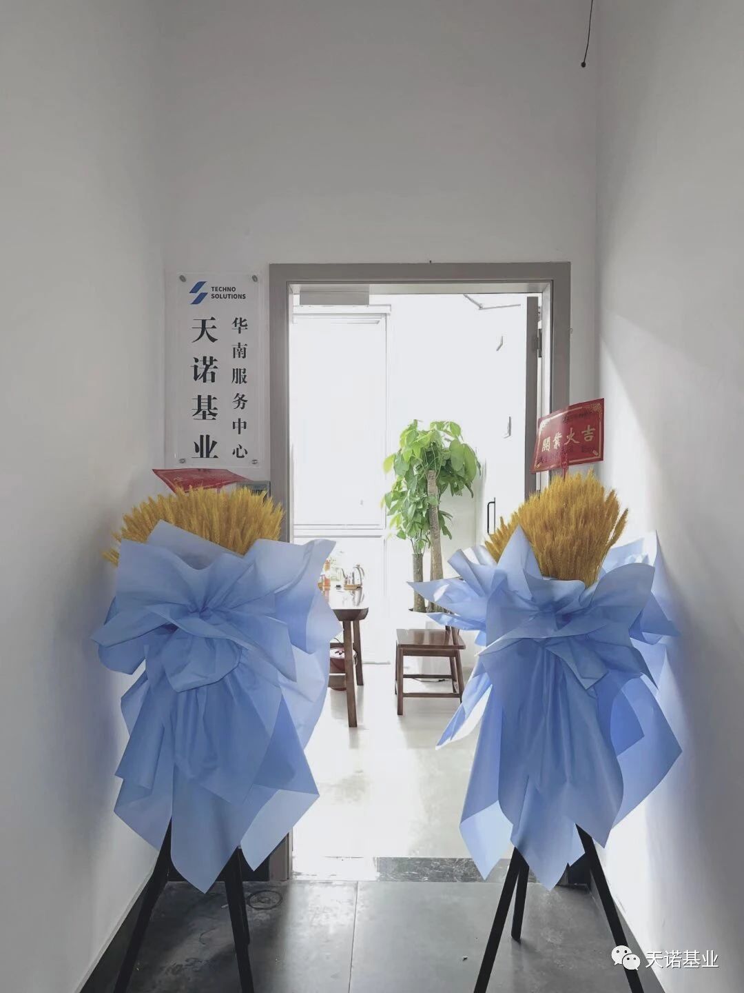 日出水了特别黄的视频