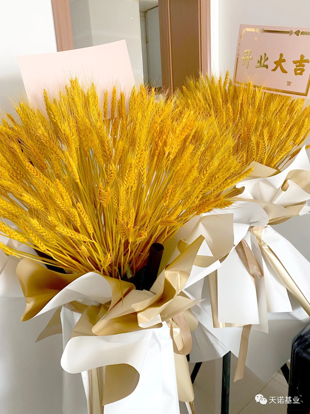 日出水了特别黄的视频