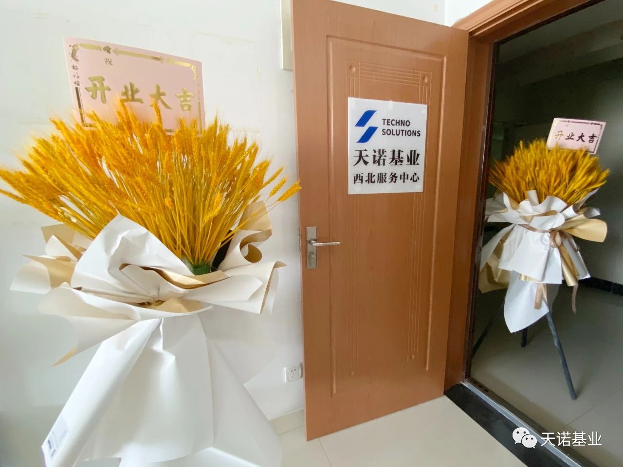 日出水了特别黄的视频