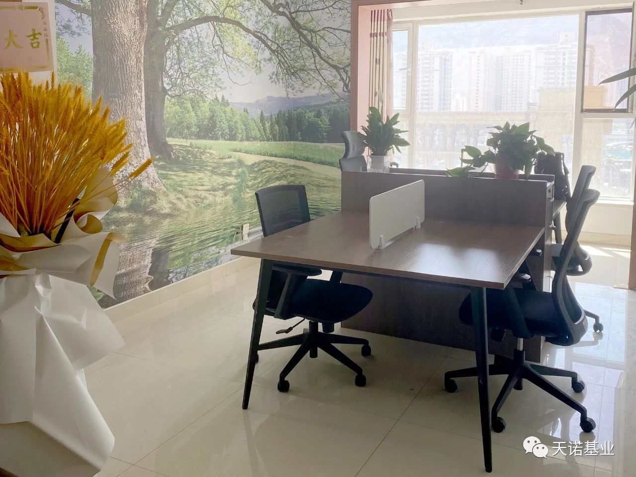 日出水了特别黄的视频