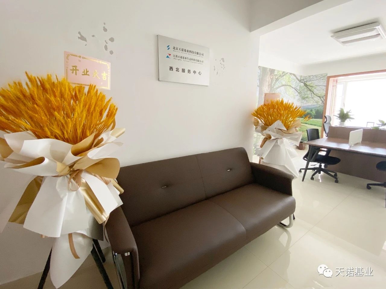 日出水了特别黄的视频