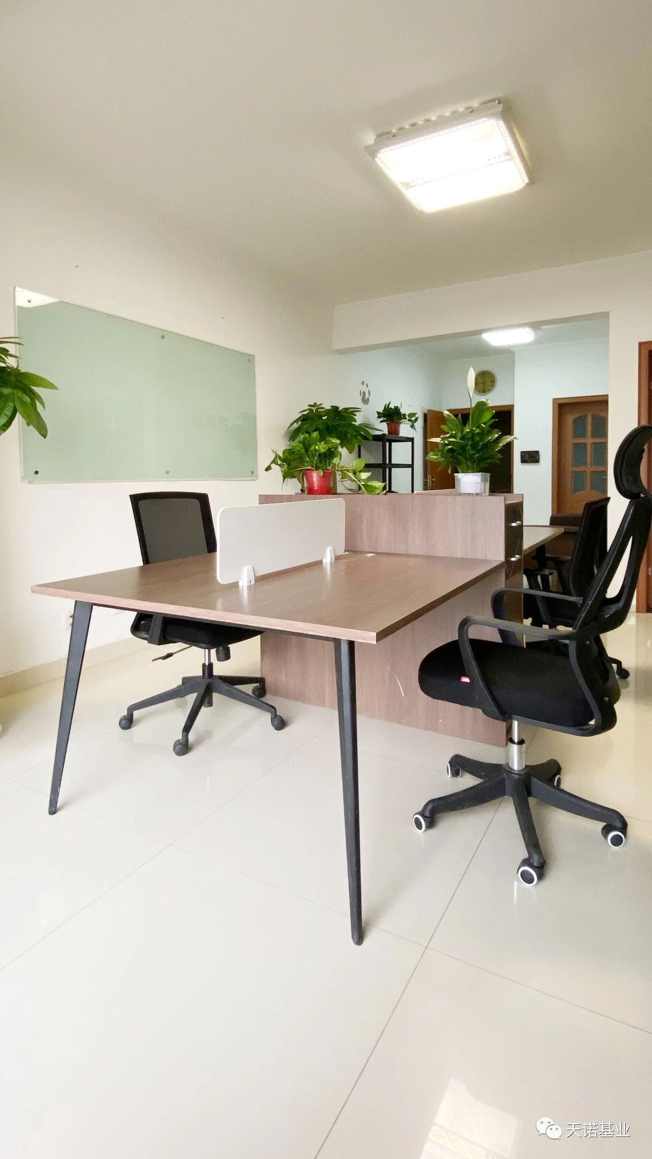 日出水了特别黄的视频