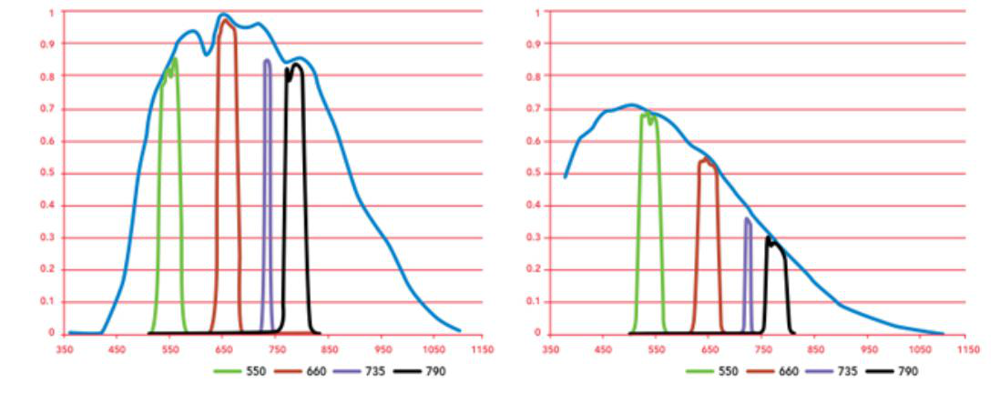 日出水了特别黄的视频