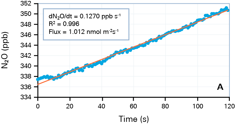 日出水了特别黄的视频