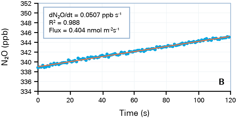 日出水了特别黄的视频