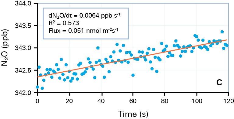 日出水了特别黄的视频