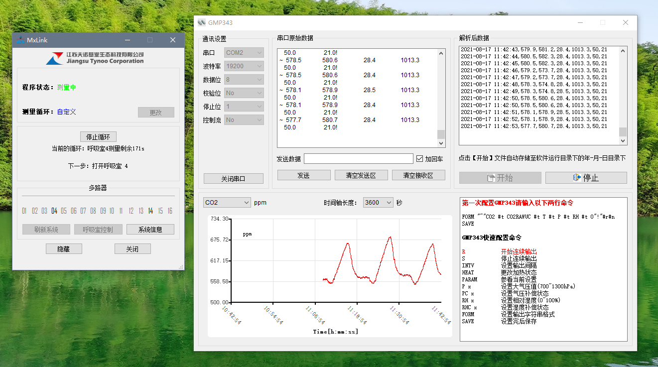 日出水了特别黄的视频