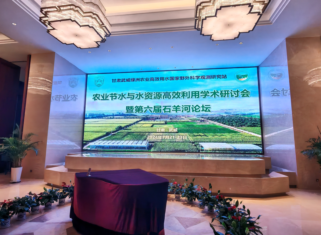 日出水了特别黄的视频